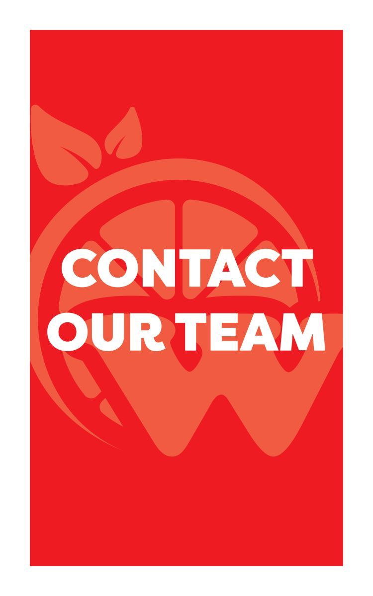 Contact Our Team