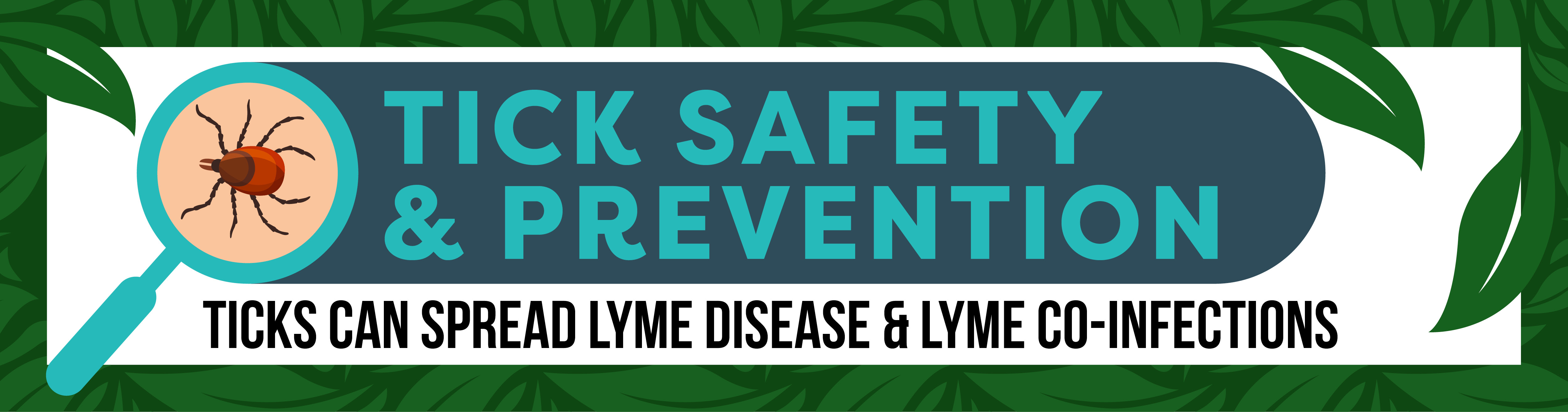 Tick Safety & Prevention. Ticks can spread lyme disease and lyme co-infections.